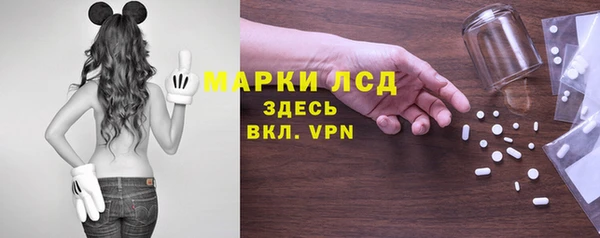 спайс Арсеньев