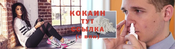 спайс Арсеньев
