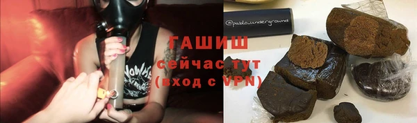 сатива Армянск