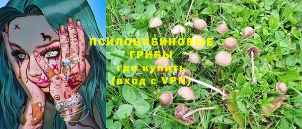 дмт Аркадак