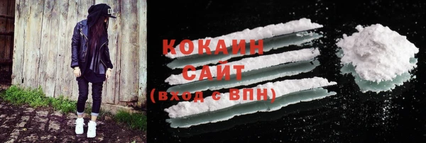спайс Арсеньев